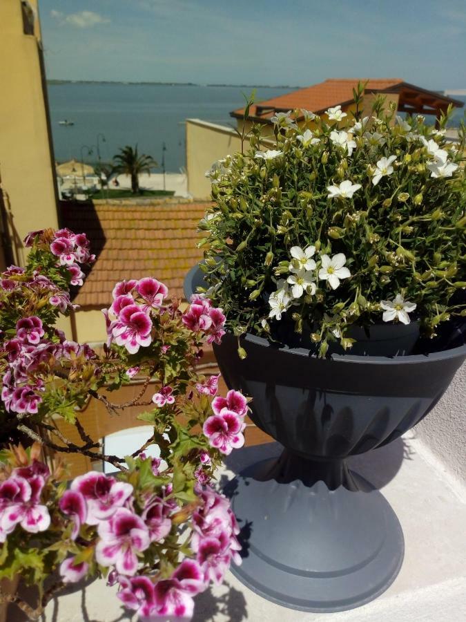 B&B La Felicita Lesina Eksteriør billede